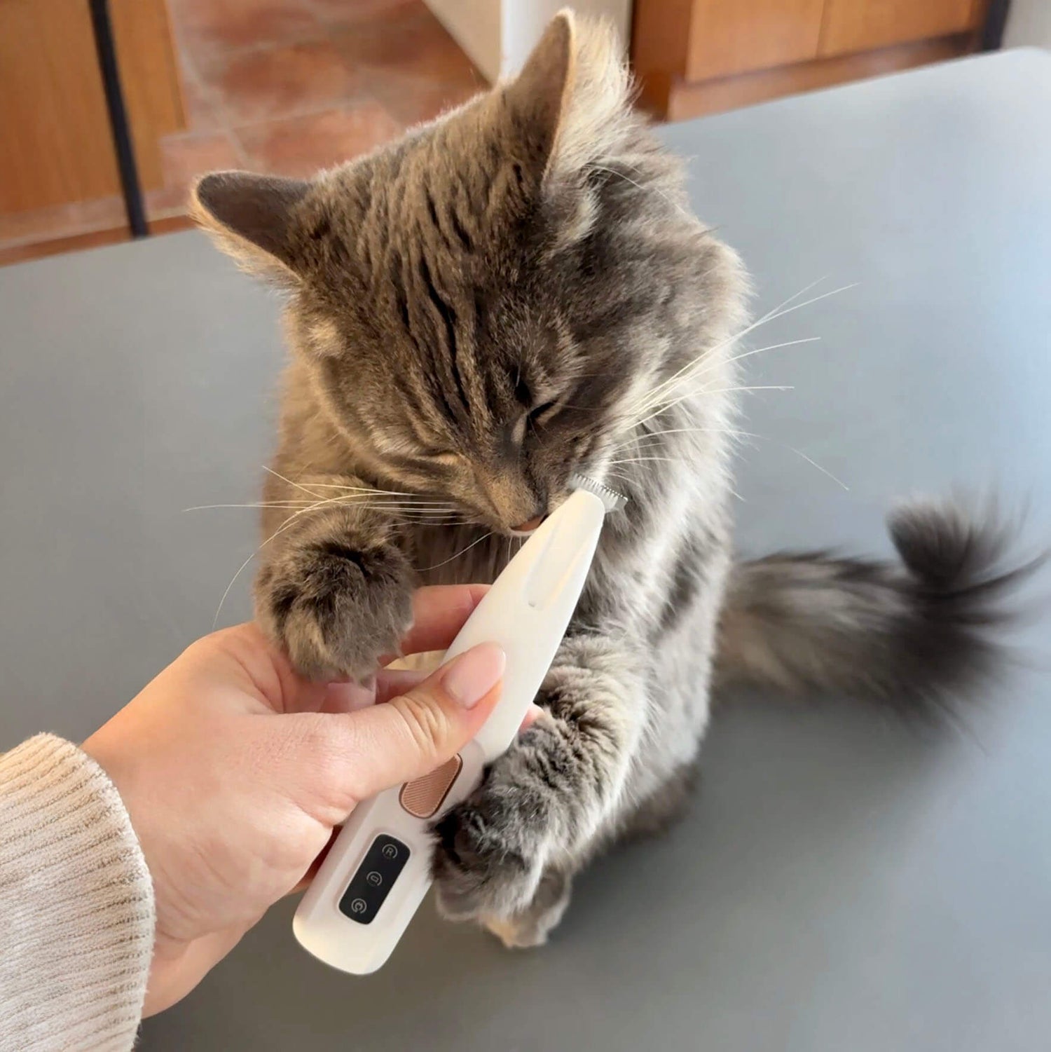 LED Pet Paw Trimmer – Safe & Easy Grooming for Dogs & Cats